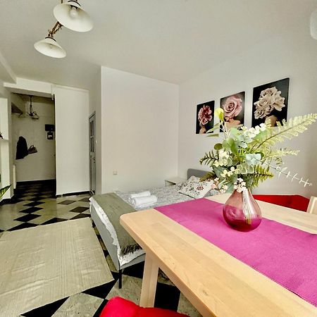 Victoriei Spacious Studio Bükreş Dış mekan fotoğraf