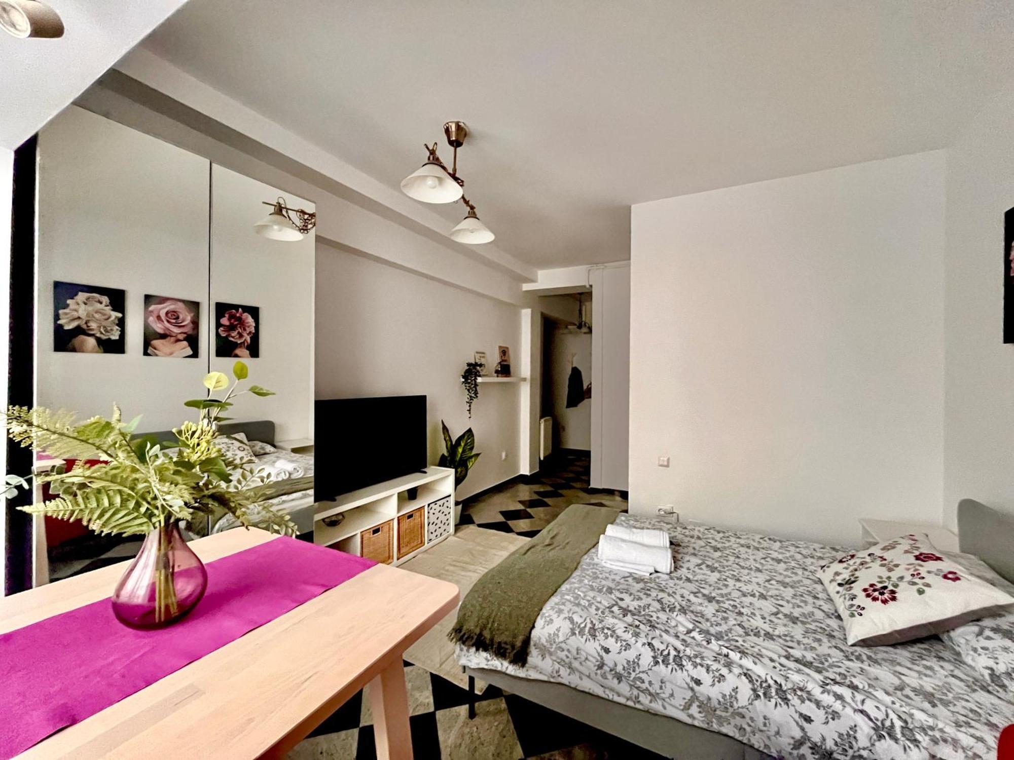 Victoriei Spacious Studio Bükreş Dış mekan fotoğraf